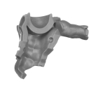 Warhammer 40k Bitz: Imperial Agents - Sanctifiers - Torso B1b - Todeskult-Assassine, Front