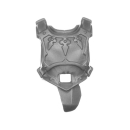 Warhammer 40k Bitz: Astra Militarum - Tempestus Aquilons - Torso I1c - Front