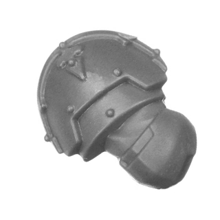 Warhammer 40k Bitz: Astra Militarum - Tempestus Aquilons - Torso I2c - Arm, Rechts
