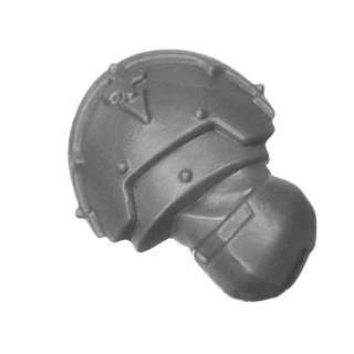 Warhammer 40k Bitz: Astra Militarum - Tempestus Aquilons - Torso J2d - Arm, Rechts