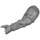 Warhammer 40K Bitz: Orks - Kommandos - Torso B3b - Arm,...
