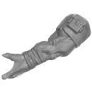 Warhammer 40K Bitz: Orks - Kommandos - Torso C3d - Arm,...