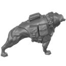 Warhammer 40k Bitz: Astra Militarum - Ratlings -...
