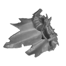 Warhammer AoS/ToW Bitz: Chaos - Marauders - Torso A1c - Umhang