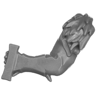 Warhammer AoS/ToW Bitz: Chaos - Marauders - Torso C3a - Arm, Links