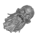 Warhammer AoS/ToW Bitz: Chaos - Marauders - Torso F1d - Kopf