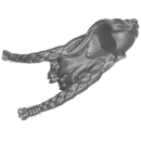 Warhammer AoS/ToW Bitz: Chaos - Marauders - Torso I1d - Kopf