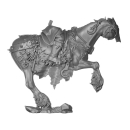 Warhammer AoS/ToW Bitz: Chaos - Marauder Horsemen - Torso...