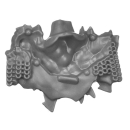 Warhammer AoS/ToW Bitz: Chaos - Marauder Horsemen - Torso C2b - Körper, Champion, Fellkragen