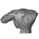 Warhammer AoS/ToW Bitz: Chaos - Marauder Horsemen - Torso D2b - Body, Back, Musician