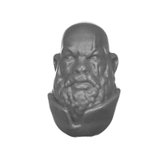 Warhammer AoS Bitz: Cities of Sigmar - Wildercorps Hunters - Torso C2b - Head