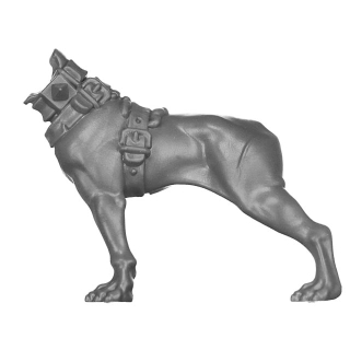 Warhammer AoS Bitz: Cities of Sigmar - Wildercorps Hunters - Torso H1b - Trailhound, Left