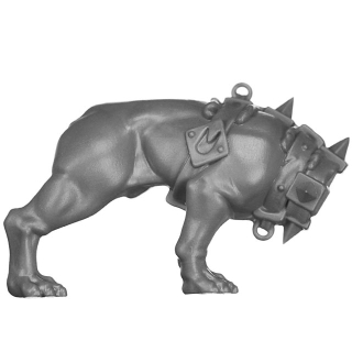 Warhammer AoS Bitz: Cities of Sigmar - Wildercorps Hunters - Torso I1a - Trailhound, Right