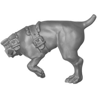 Warhammer AoS Bitz: Cities of Sigmar - Wildercorps Hunters - Torso I1b - Fährtenhund, Links