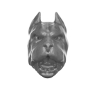 Warhammer AoS Bitz: Cities of Sigmar - Wildercorps Hunters - Torso J1c - Fährtenhund, Kopf