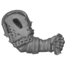 Warhammer AoS Bitz: Cities of Sigmar - Freeguild...