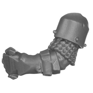 Warhammer AoS Bitz: Cities of Sigmar - Freeguild Steelhelms - Torso I5a - Arm, Links