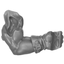 Warhammer 40k Bitz: Leagues of Votann - Cthonian Beserks - Torso D3c - Arm, Left