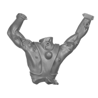 Warhammer 40K Bitz: Chaos Space Marines - Goremongers - Torso H1a - Back