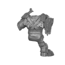 Warhammer AoS Bitz: Orruk Warclans - Ardboys - Torso C1a - Back, Gorkamorka Glyph Bearer