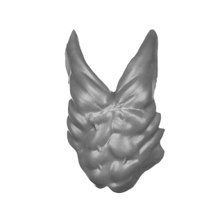 Warhammer AoS Bitz: Orruk Warclans - Weirdbrute Wrekkaz - Torso C1c - Chest