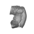 Warhammer AoS Bitz: Orruk Warclans - Weirdbrute Wrekkaz - Torso C3a - Arm, Left
