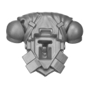 Warhammer 40K Bitz: Red Corsairs - Raiders - Torso E3a -...