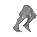 Warhammer ToW Bitz: Reiche der Hochelfen - Weiße Löwen von Chrace - Beine D