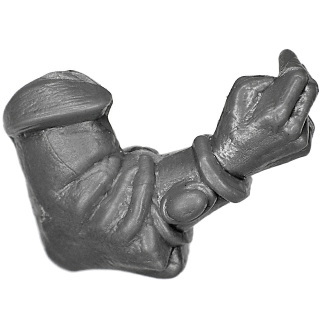 Warhammer ToW Bitz: Reiche der Hochelfen - Elfische Bogenschützen - Arm E Rechts