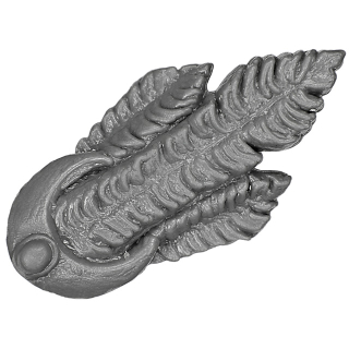 Warhammer ToW Bitz: Reiche der Hochelfen - Elfische Bogenschützen - Helmfedern B Falkenauge