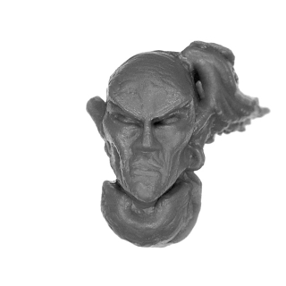 Warhammer ToW Bitz: Dunkelelfen - Echsenritter - Kopf B - Musiker