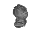 Warhammer ToW Bitz: Empire - Demigryph Knights - Torso A