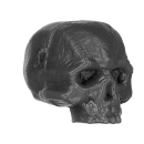 Warhammer ToW Bitz: Orcs & Goblins - Orc Boyz Mob - Accessory B - Skull