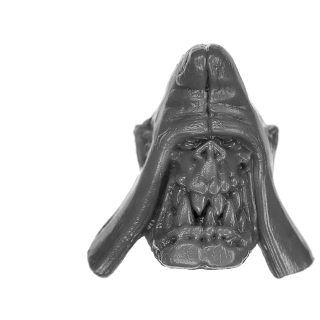 Warhammer ToW Bitz: Orcs & Goblins - Orc Boyz Mob - Kopf B
