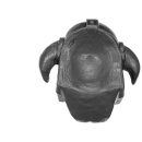 Warhammer ToW Bitz: Orcs & Goblins - Orc Boyz Mob - Head I1 - Orc Boss
