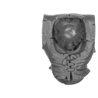 Warhammer ToW Bitz: Orcs & Goblins - Orc Boyz Mob - Torso D
