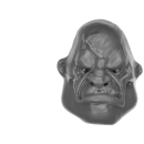 Warhammer 40k Bitz: Astra Militarum - Bullgryns, Ogryns, Nork Deddog - Head A - Ogryn