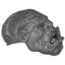 Warhammer AoS Bitz: Chaos - Dragon Ogres - Head D