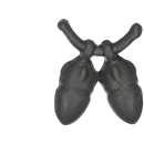 Warhammer 40k Bitz: Harlequins - Harlequin Troupe - Accessoire E