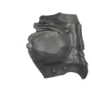 Warhammer AoS Bitz: Orruk Warclans - Brutes - Carapax B5 - Shoulder Pad, Left