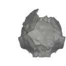 Warhammer AoS Bitz: Orruk Warclans - Brutes - Carapax E2 - Back Armour