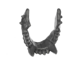 Warhammer ToW Bitz: Orcs & Goblins - Boar Chariot - Accessory E - Jawbone